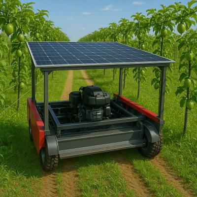 Trabalho a Céu Aberto: o Que a NR-21 Exige Sobre Sol, Calor e Descanso no Campo